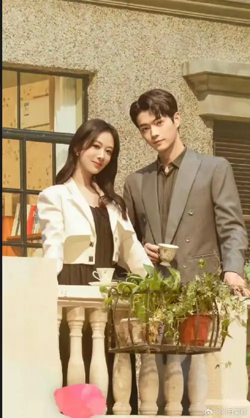 追剧小日历90    电视剧  《承欢记》杨紫/许凯 p5-6  《城中之城》