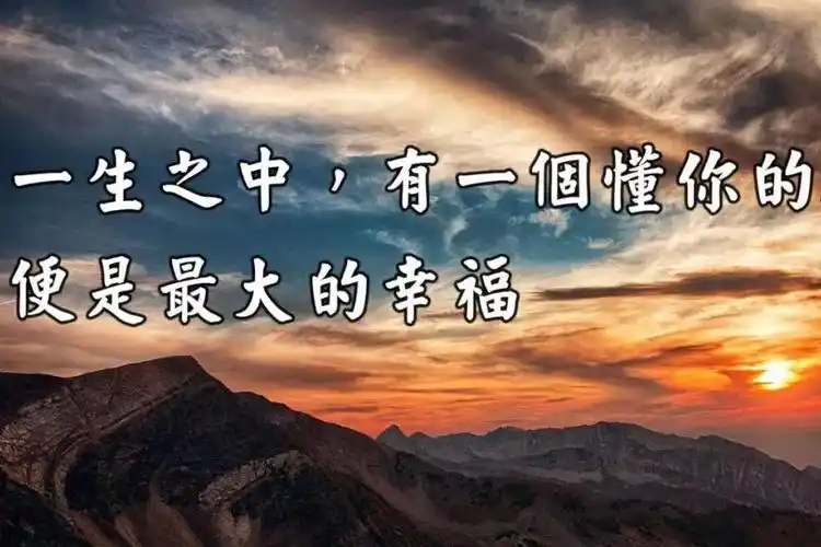 懂,是一种无声的陪伴