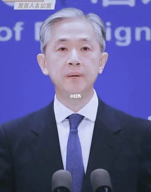 外交部男神外交天团汪文斌谦谦君子遗世而立