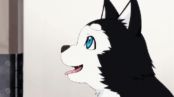 狂叫gif小狗gif黑子的篮球02黒子gif