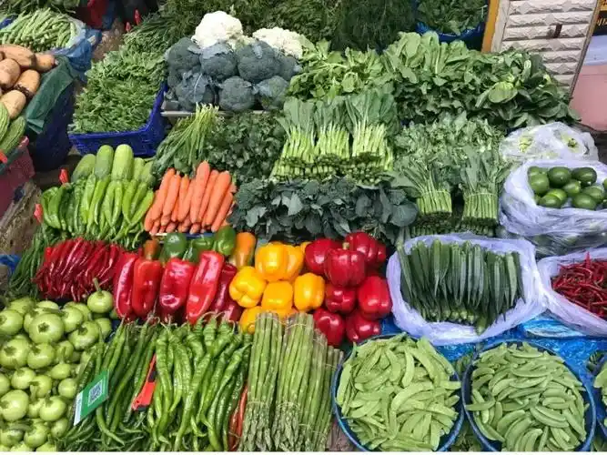 野味十足的云南菜市场,让昆明人站在了食物链顶端!