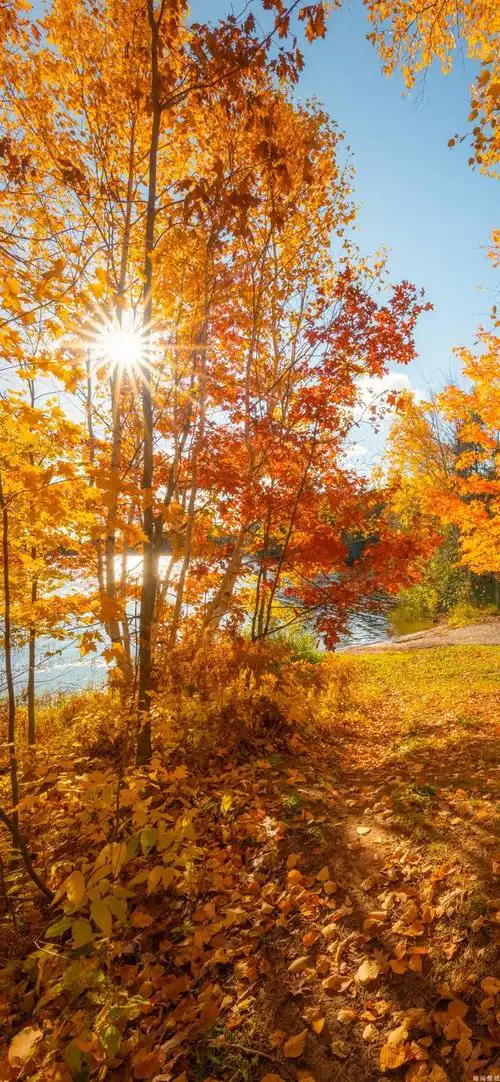 多彩壁纸640期|秋天风景高清壁纸 愿看风景的你都有美好心情