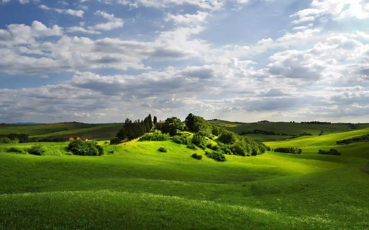 绿色清新护眼风景壁纸超清新好看壁纸