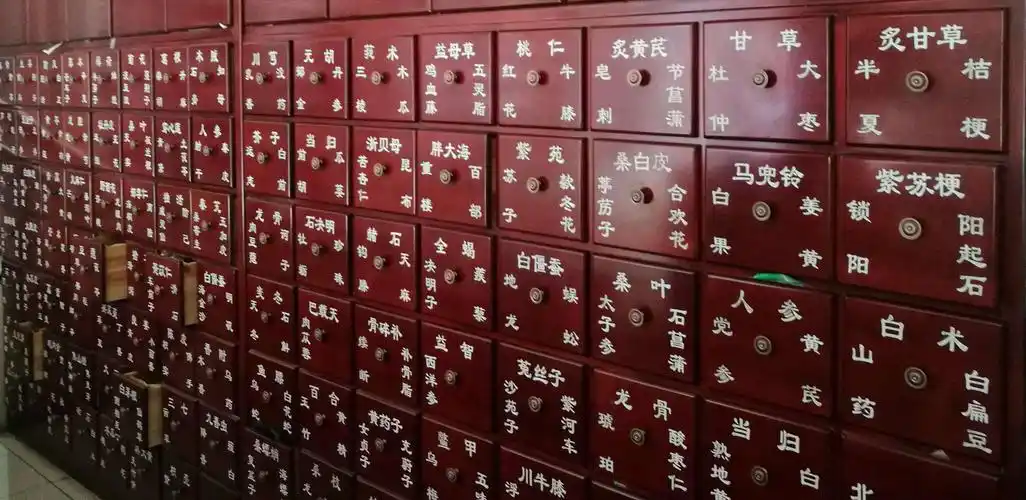 多了一份朴实 写美篇陪伴我长大的,我想就是立在那儿十五年的中药柜