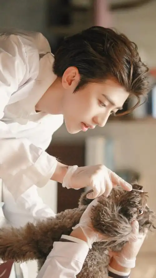 蔡徐坤 - 堆糖,美图壁纸兴趣社区