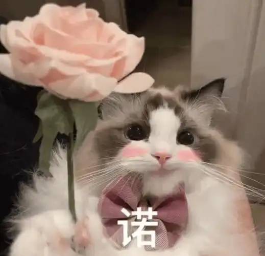 热门微信表情包:每天来群里消毒