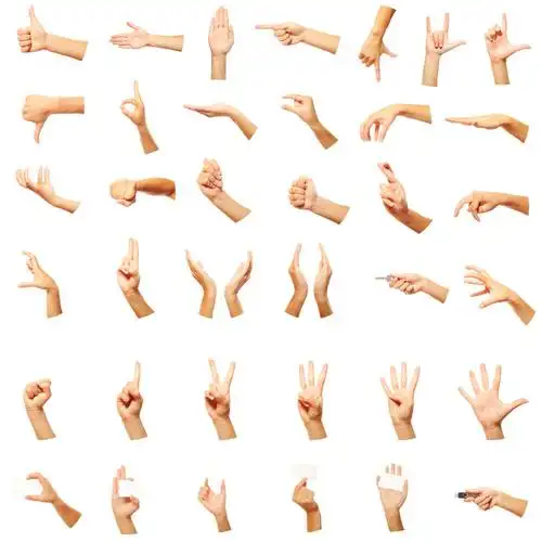 商务手势手势人体器官动作姿势手势图片人物图片图片素材下载本素材