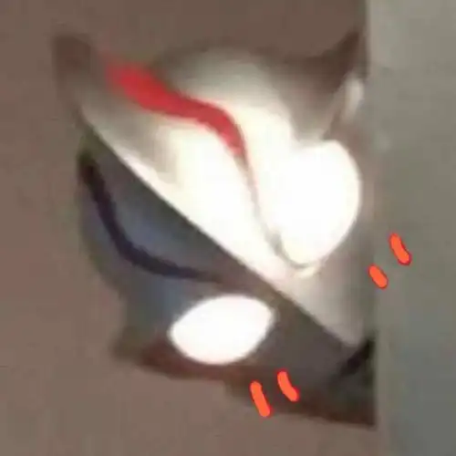 今天是不是要睡一间房了啊