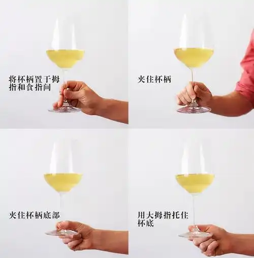 喝红酒拿酒杯正确姿势 -生活知识库-动动脑
