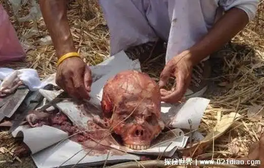 红烧女人肉胆小勿看