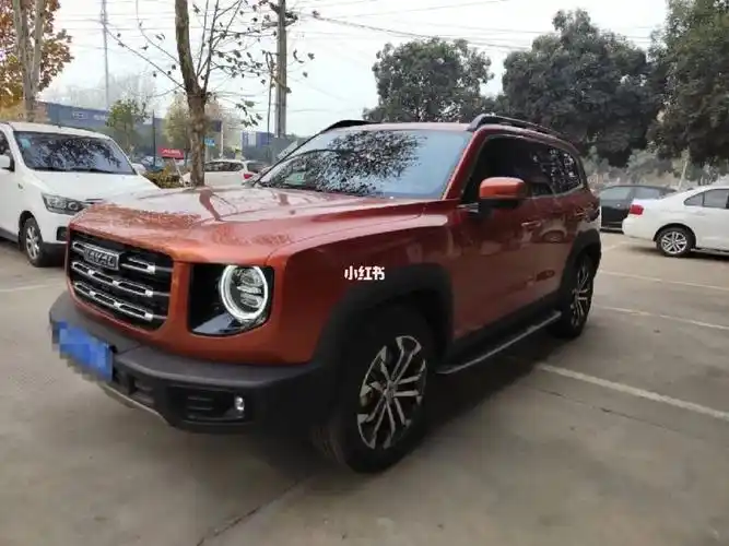 哈弗热门车型大狗