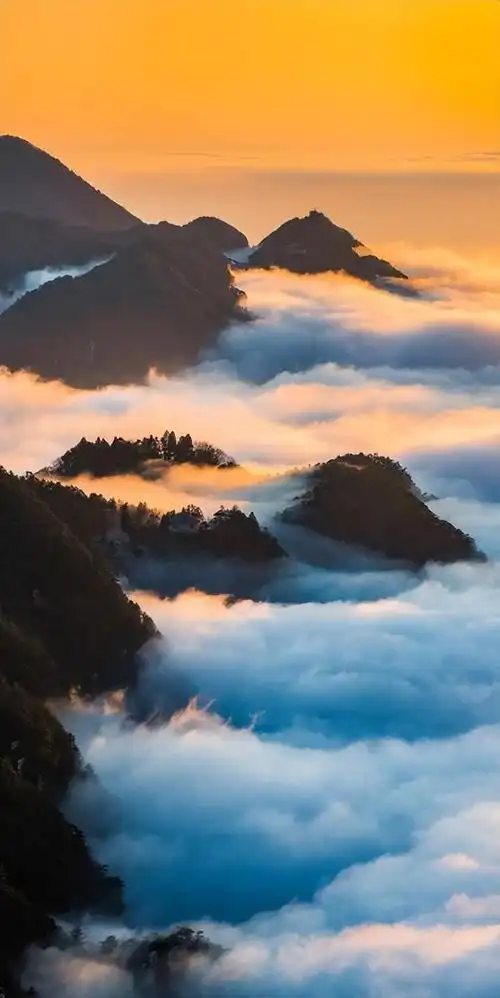 实习生胡雅婷摄影报道:移动互联网时代,人们通过手机获取信息,令竖屏