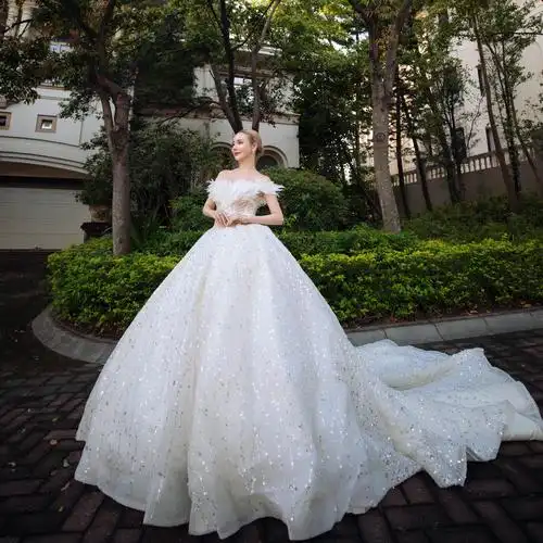 出租定制白色主婚婚纱2020秋冬新款一字羽毛婚纱