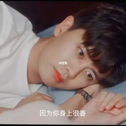 向全世界安利白鹿  #白鹿  #任嘉伦  隔音不好,你俩还这样