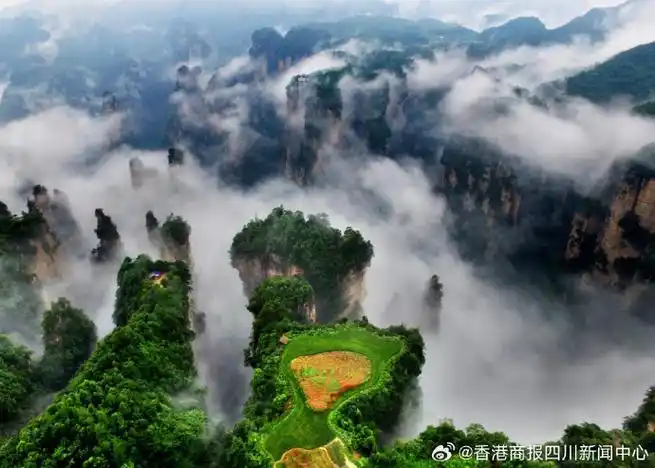 【川阿坝州携手湖南张家界共同打造「中国最美山水组合」】日前