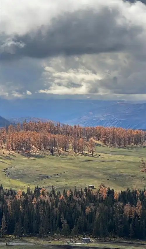 文案##手机壁纸##无水印壁纸##摄影##风景##风景壁纸