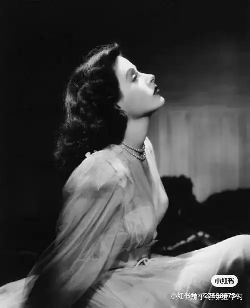 费雯丽和海蒂拉玛谁更美