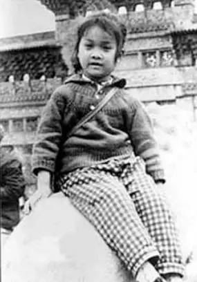 那英萝莉照曝光好声音男导师童年都是正太组图