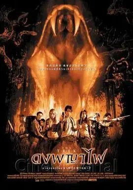 夺命森林百度影音免费在线观看