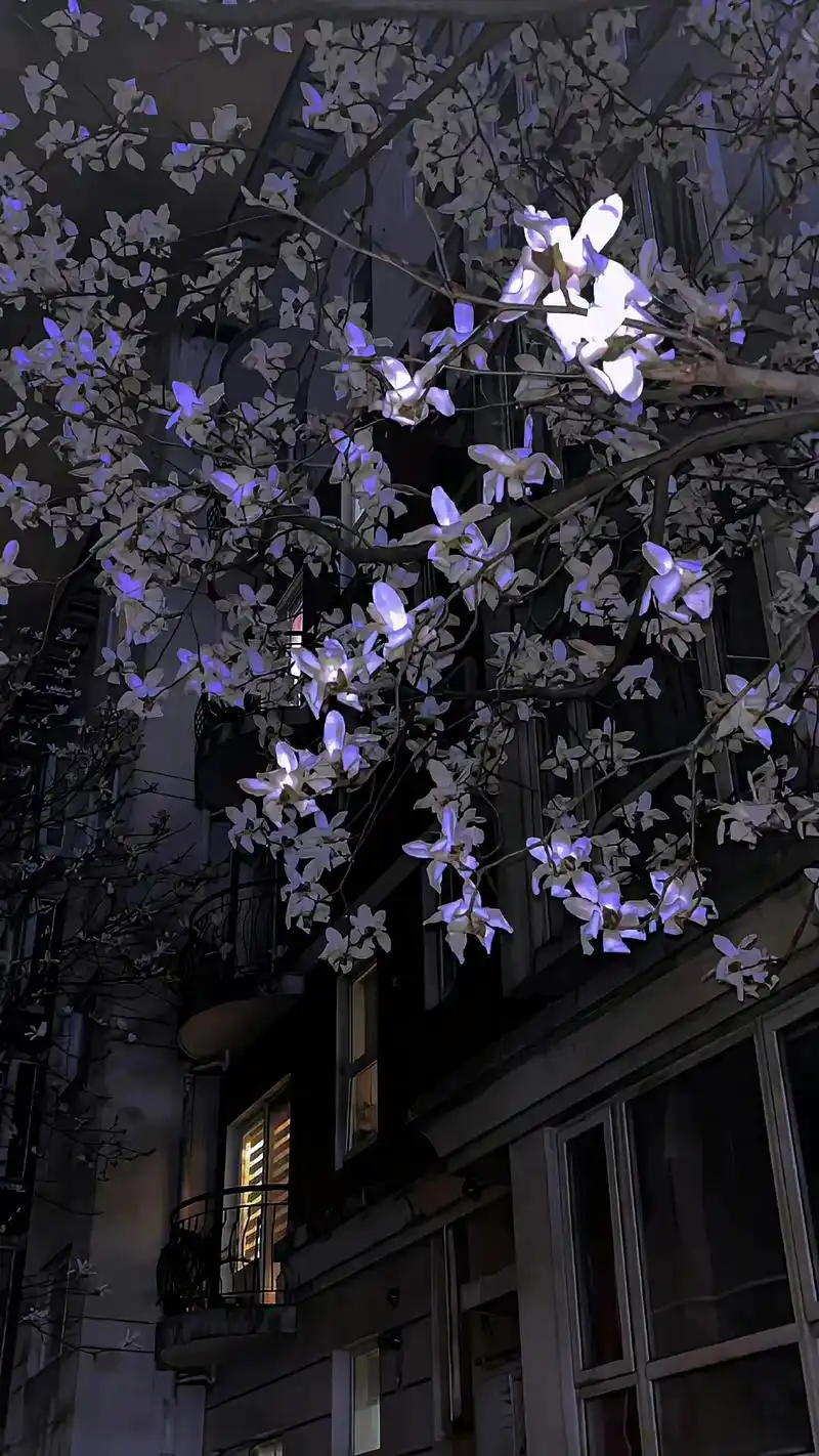 ins高级质感壁纸 #壁纸潮图 #ins高级质感 #壁纸分 - 抖音