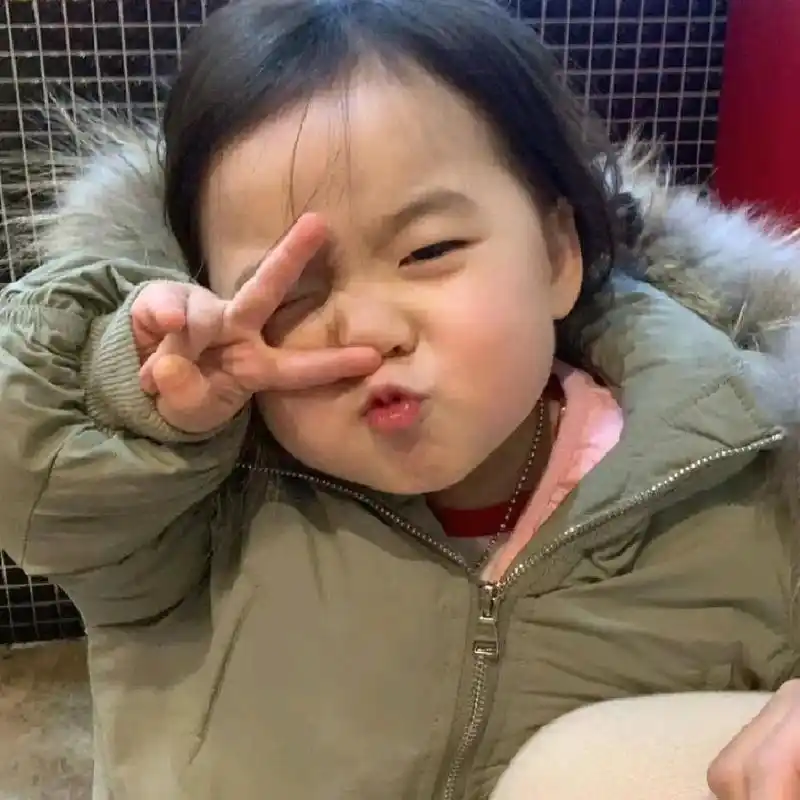 新年第一天,哈温有了小狗狗毛毛,来给生活比个耶70 - 抖音