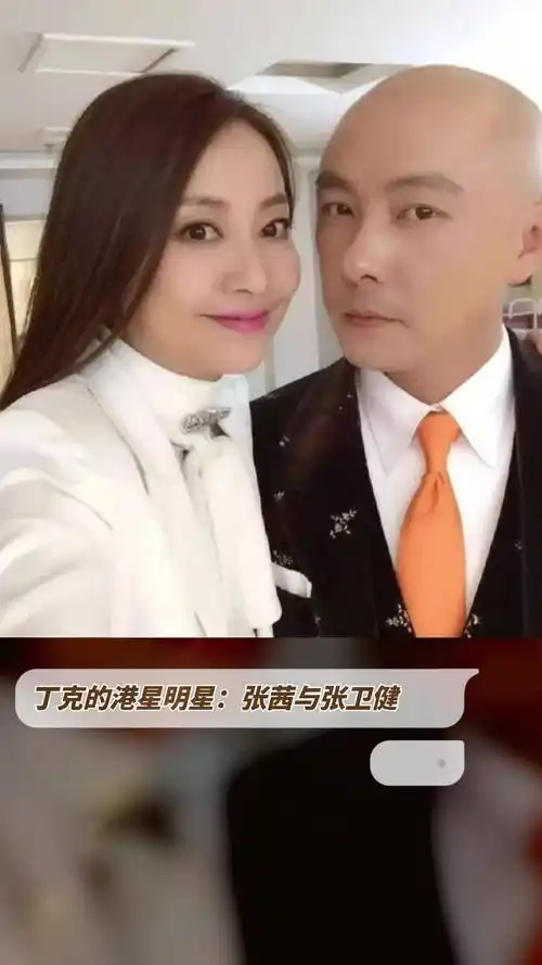 丁克的港星明星:张茜与张卫健