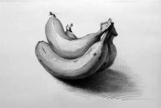 简单静物素描写真