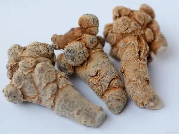 三七,又称田七,人参三七,是一种多年生草本植物,属于五加科人参属.