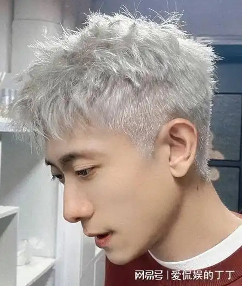 张一山银发争议:时尚界的分水岭|发型|自拍_网易订阅