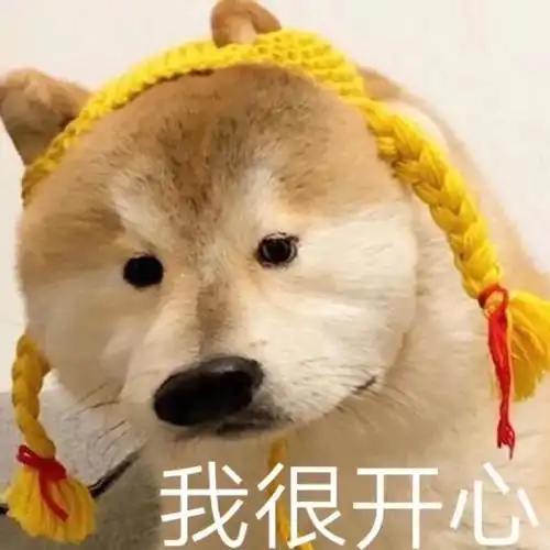 表情包可爱真的可以为所欲为