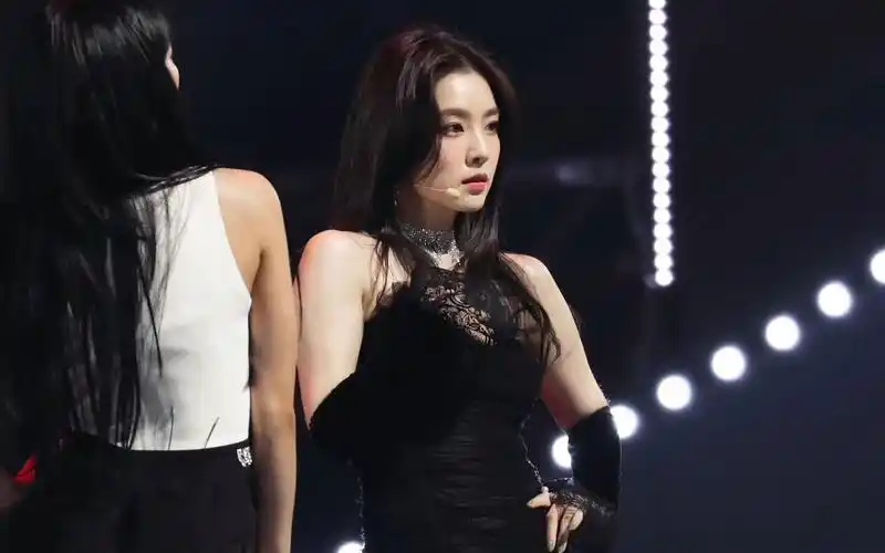 高贵黑天鹅 【red velvet 裴珠泫irene】