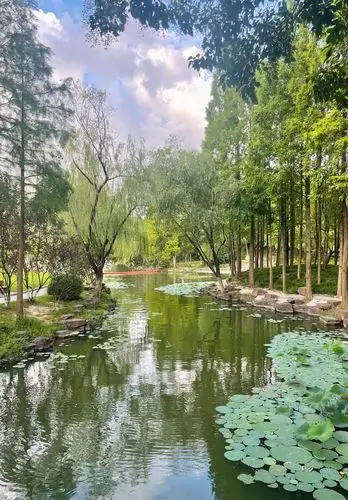 昨天傍晚台风烟花来临前在公园拍摄的水景