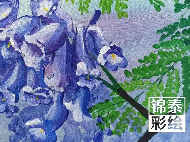 蓝花楹水彩画蓝花楹的绘画图片