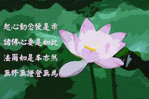 纯净莲花_170对比_文字完成 (繁体).jpg