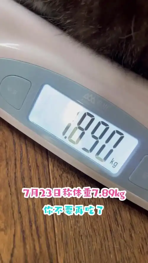 包包体重破16斤大关!妈呀!到底怎么才能减肥啊!-度小视