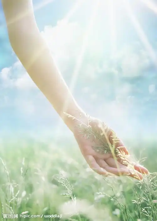 手小草草地杨过天空图片