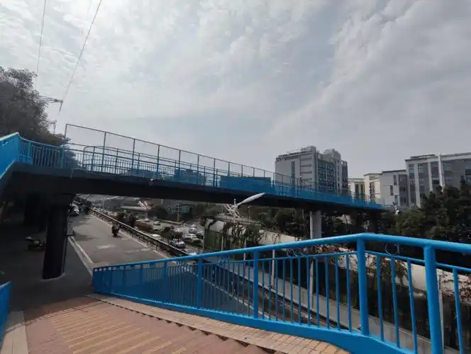 靓成功大道安兜人行天桥焕新登场