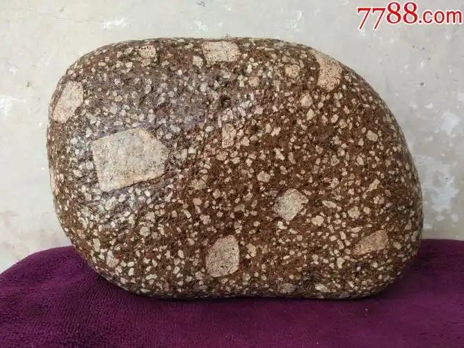 洛阳梅花石原石842雪里红少见石种完美石型