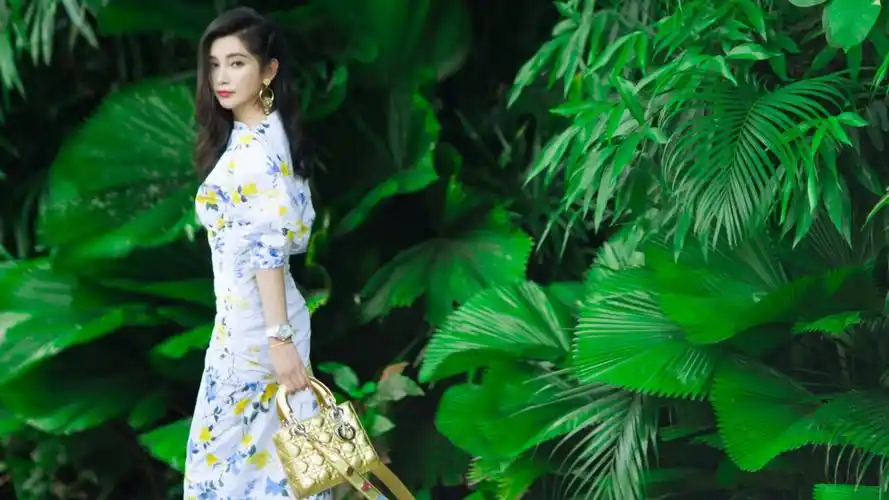 李冰冰最新唯美写真图片桌面壁纸高清大图预览1920x1200_大陆明星下载