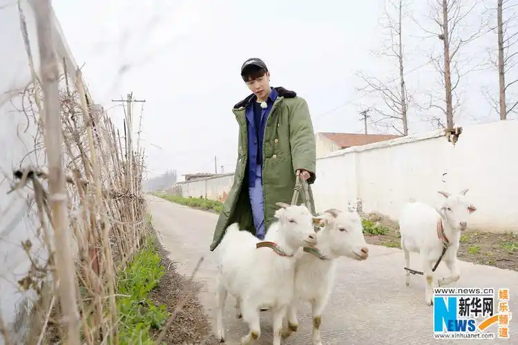 张艺兴《极挑4》曝光原名 放羊少年张加帅路边吃草