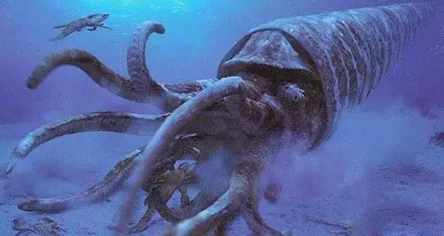 长达12米的外壳让一切上古时代胆敢跟它叫板的生物都讨不到一丁点便宜