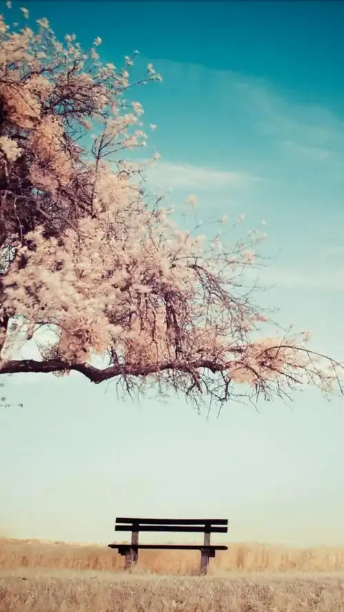 意境-堆糖,美好生活研究所