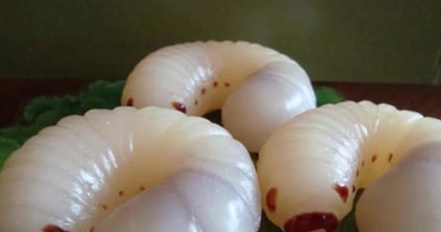 世界上最奇葩的几款糖果每一款用来整蛊人都不错