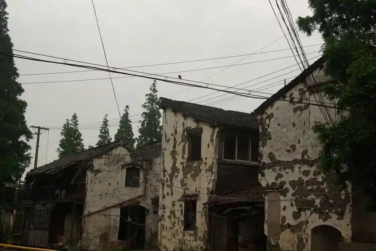 探访～古镇老街与村落(之七)泗泾古镇