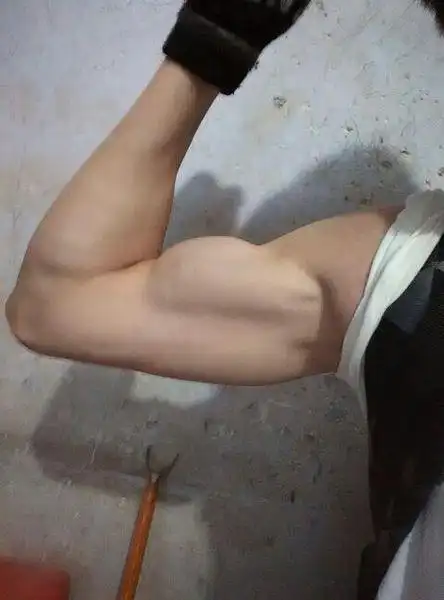 怎么样可以快速锻炼出腹肌,与手臂上的肌肉.