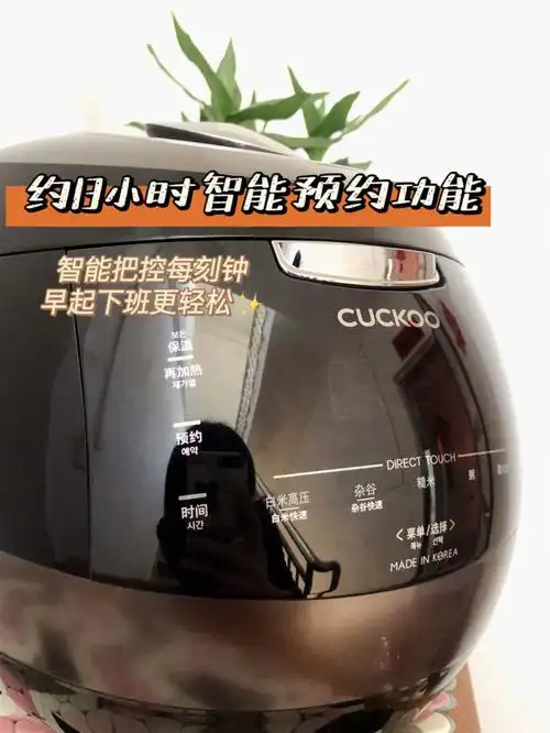 双十二入手福库吧做电饭煲美食全靠它