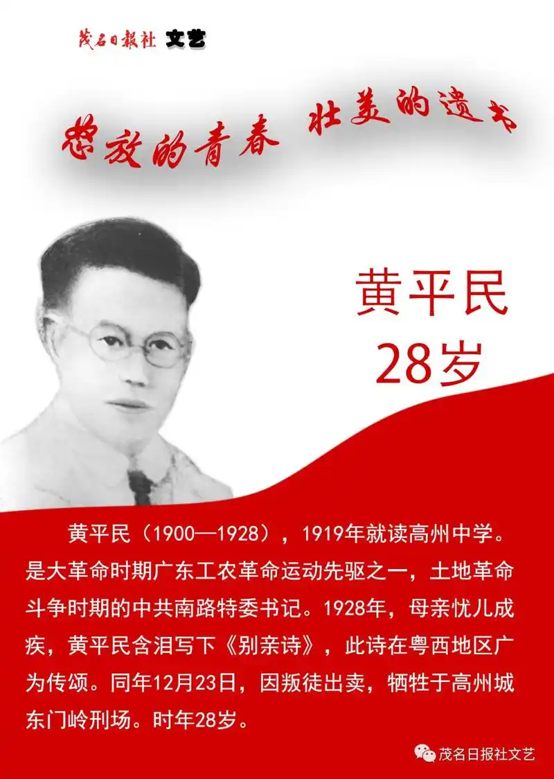 学党史进行时怒放的青春壮美的遗书