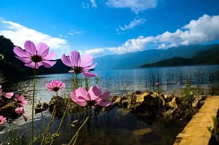 喜欢泸沽湖的静去享受身心的放松享受惬意的生活