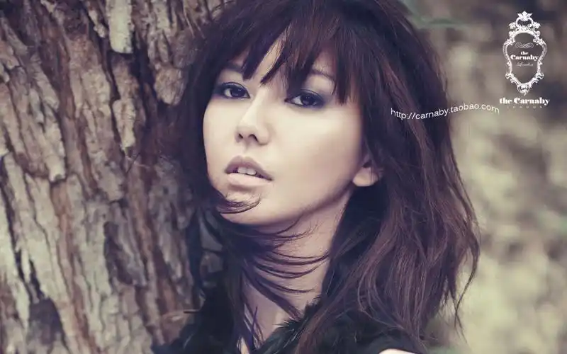 有没有孙燕姿的大图.