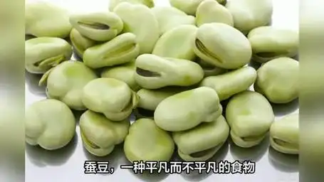 蚕豆的功效与作用
